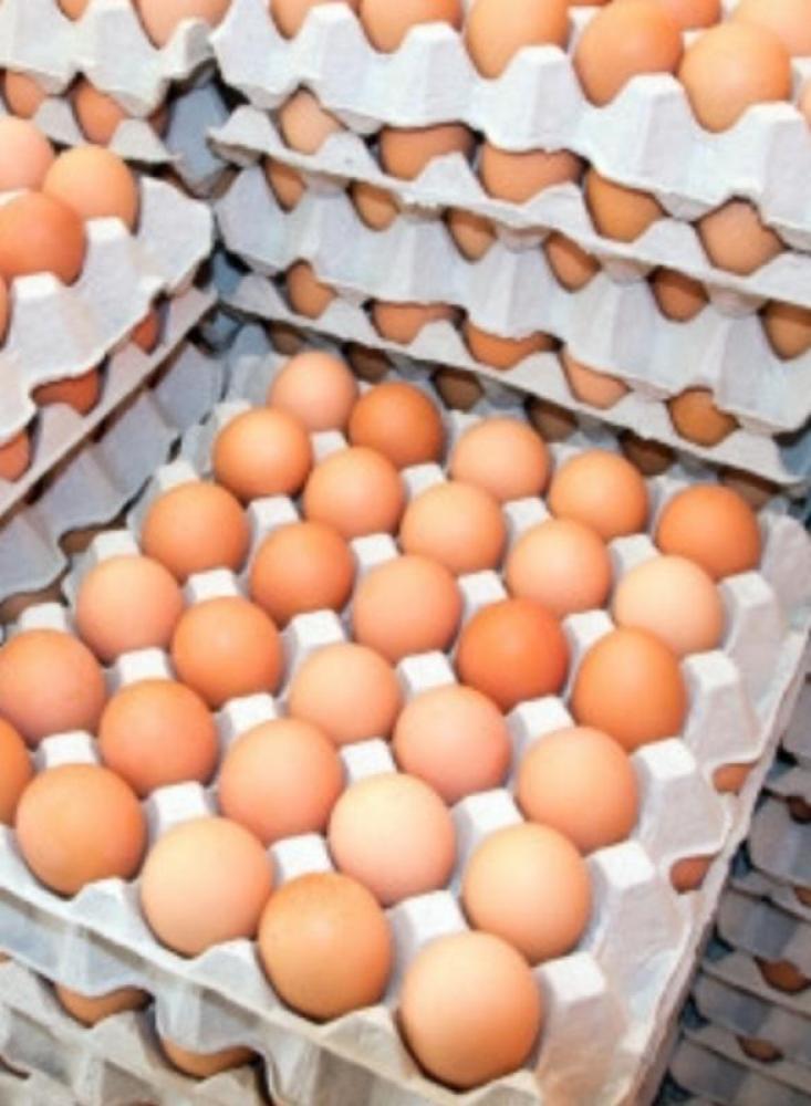 بيض دجاج من اوكرانيا وعجول بأسعار مميزة